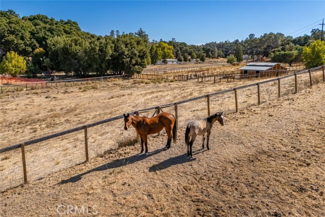 Detail Gallery Image 11 of 61 For 8865 San Gabriel Rd, Atascadero,  CA 93422 - 5 Beds | 5 Baths