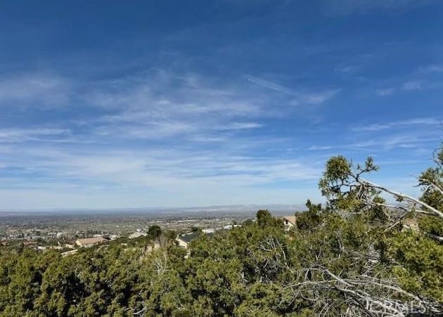 Detail Gallery Image 4 of 8 For 0 Snow Valley Rd., Pinon Hills,  CA 92372 - – Beds | – Baths