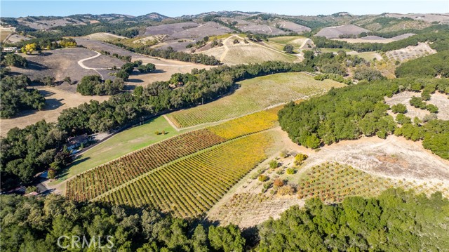 Detail Gallery Image 47 of 52 For 1545 Willow Creek, Paso Robles,  CA 93446 - 2 Beds | 4 Baths