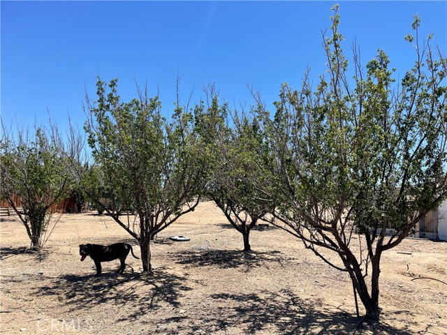 Detail Gallery Image 6 of 32 For 4679 Gorgonio Rd, Phelan,  CA 92371 - 4 Beds | 2 Baths