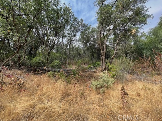 Detail Gallery Image 4 of 10 For 10 Ac Miller Rd / Old Hwy, Mariposa,  CA 95338 - – Beds | – Baths