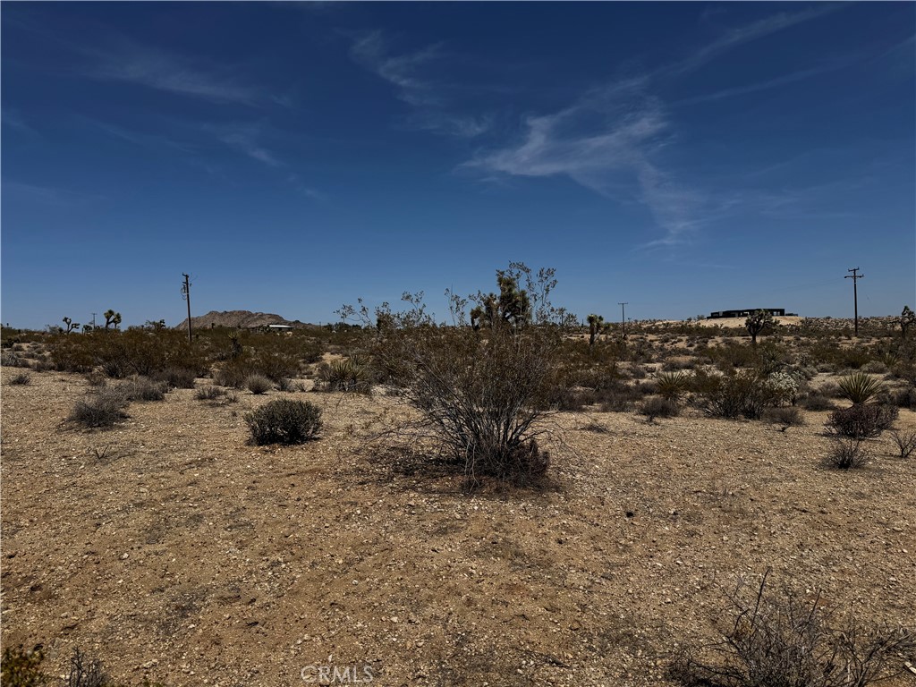 MLS #JT25134804 image #1