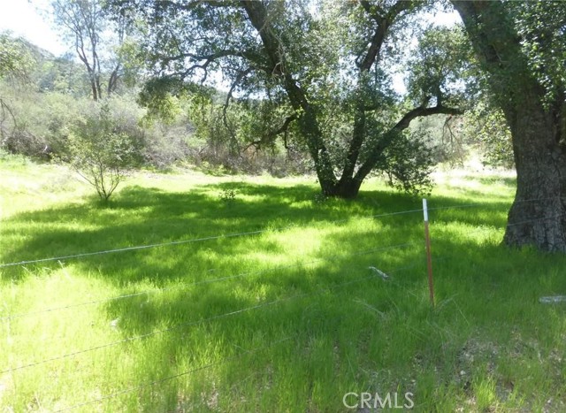 0 0 Vineyard Canyon Parcel 29, San Miguel, California 93451, ,Land,For Sale,0 0 Vineyard Canyon Parcel 29,CRNS23160263