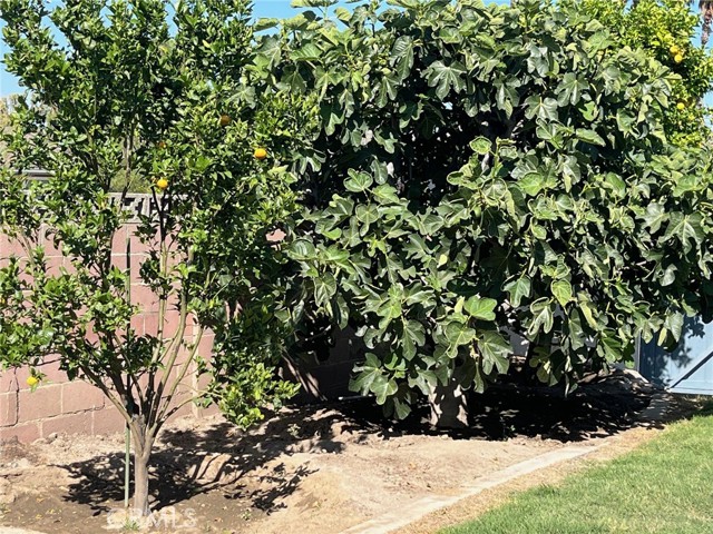 Detail Gallery Image 21 of 27 For 1855 Kearney Ave, Simi Valley,  CA 93065 - 4 Beds | 2 Baths