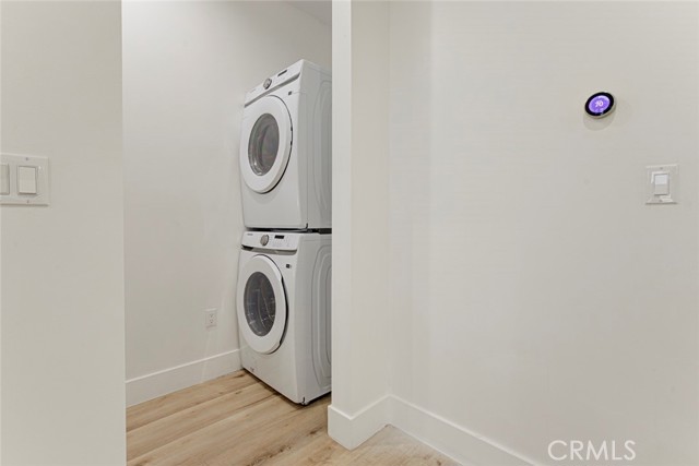 6206 Camellia photo 12