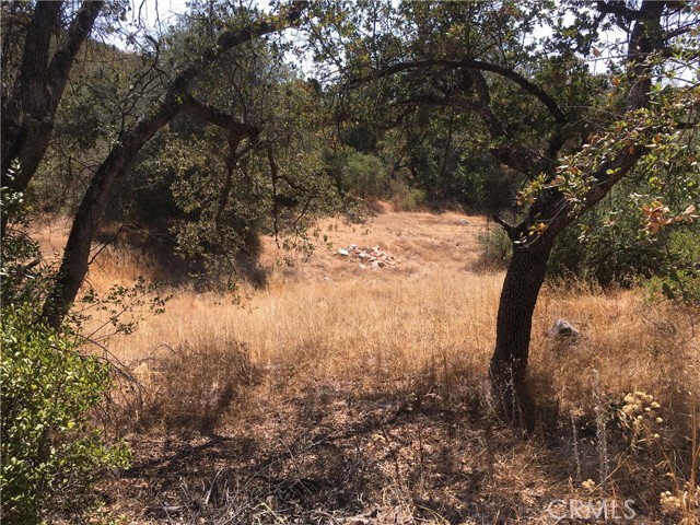 19879 Tenaja Road, Murrieta, California 92562, ,Land,For Sale,19879 Tenaja Road,CRSW22195708