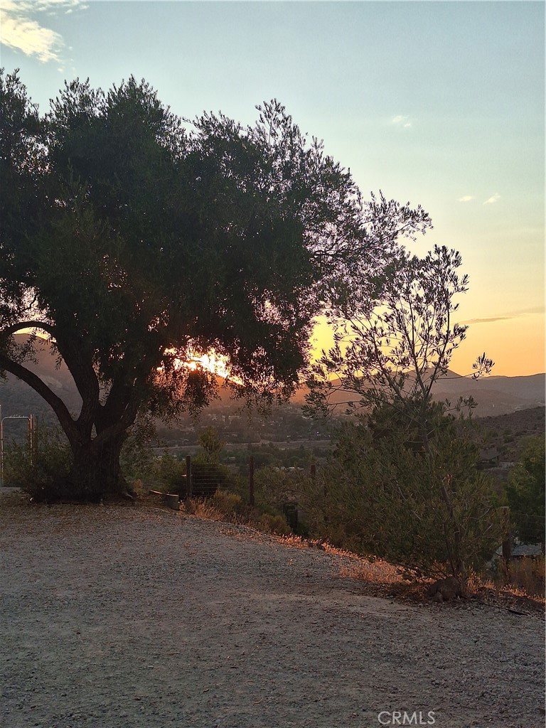 https://media.crmls.org/medias/d23146d0-919a-46dc-9510-01fdc77730e2.jpg?preset=X-Large