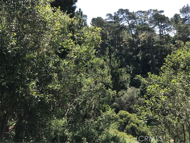 0 Hillcrest Drive, Cambria, California 93428, ,Land,For Sale,0 Hillcrest Drive,CRSC22073549