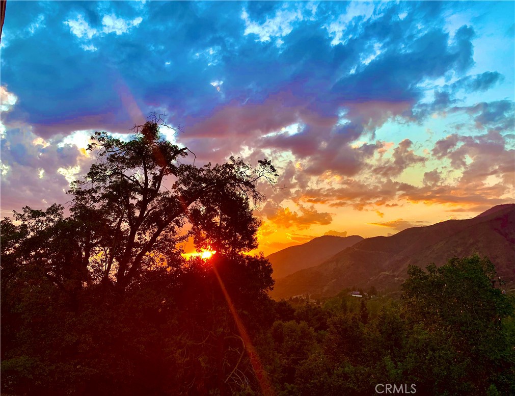 https://media.crmls.org/medias/d23a4e59-1d7d-4f8e-ab6a-df37fc8cabc9.jpg?preset=X-Large
