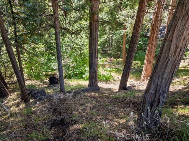 356 Ca-173, Lake Arrowhead CA: https://media.crmls.org/medias/d23bdbc5-1735-4921-891e-ccaf7f259494.jpg