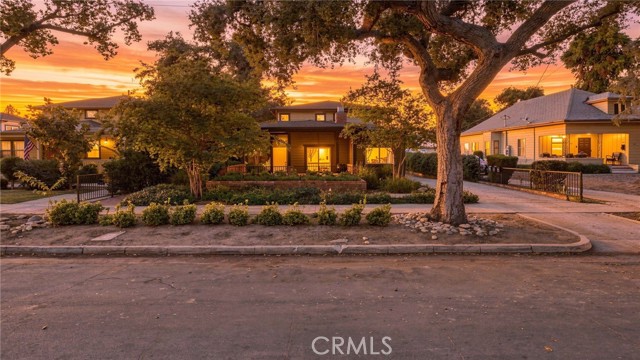 537 Cypress