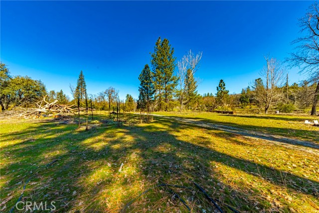 Detail Gallery Image 9 of 19 For 0 4.53 Ac Wortham Rd, Oakhurst,  CA 93644 - – Beds | – Baths
