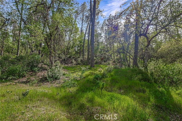 Detail Gallery Image 16 of 19 For 9200 Silver King Rd, Redding,  CA 96001 - – Beds | – Baths