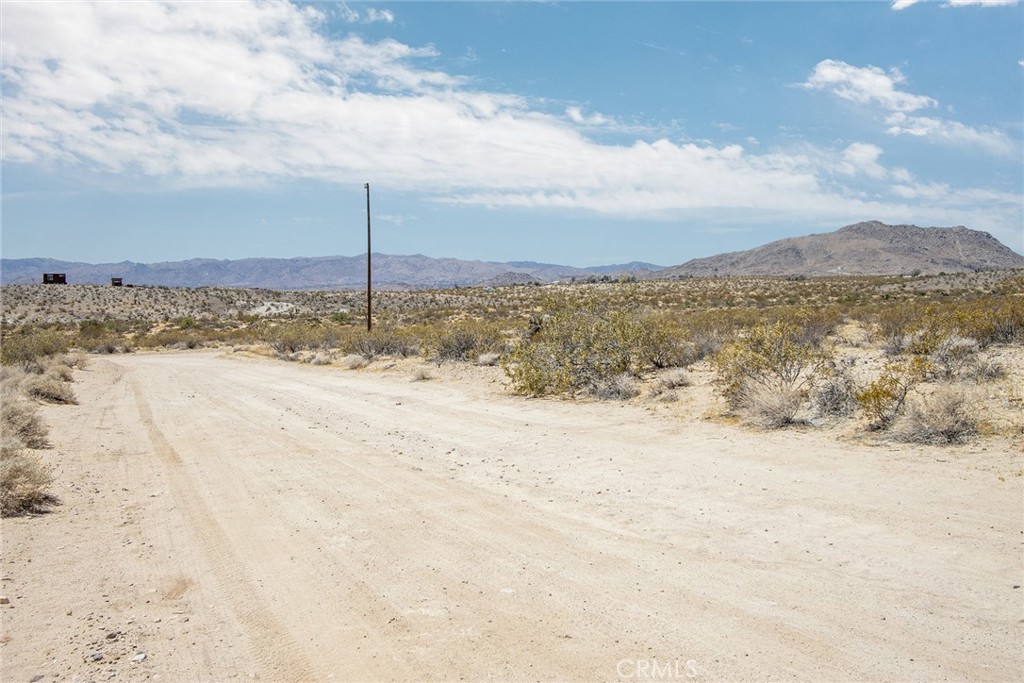 MLS #JT25110585 image #4