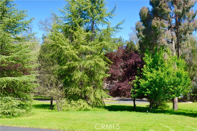 8255 Graves Creek Road
