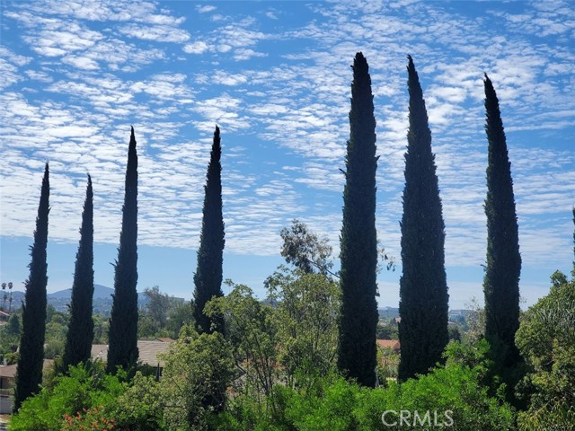 Detail Gallery Image 2 of 2 For 17617 Pomerado Rd #213,  San Diego,  CA 92128 - 2 Beds | 2 Baths