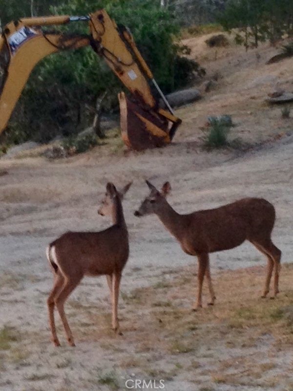 0 Roadrunner Trail, Banning CA: https://media.crmls.org/medias/d25f5dbe-21a7-4953-8e4c-1e9733c8051d.jpg