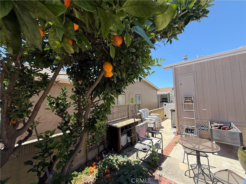 MLS #OC26155672 image #7