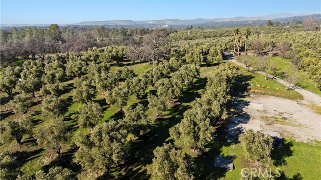 Detail Gallery Image 6 of 19 For 7300 Lower Wyandotte Rd, Oroville,  CA 95966 - – Beds | – Baths