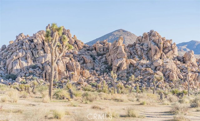 Detail Gallery Image 63 of 66 For 74847 29 Palms Highway, Twentynine Palms,  CA 92277 - 4 Beds | 3 Baths