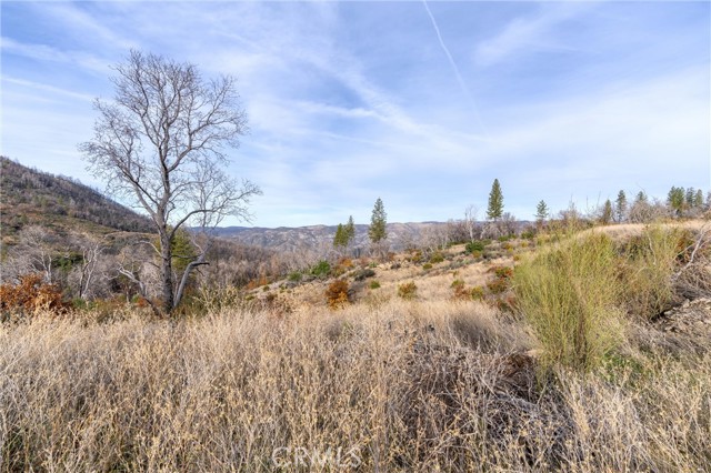 2231 Lumpkin Road, Oroville, California 95966, ,Land,For Sale,2231 Lumpkin Road,CRSN23227176