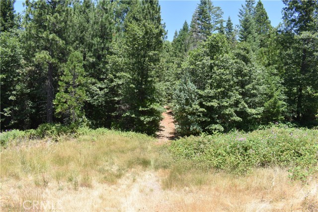 Detail Gallery Image 9 of 43 For 11605 La Porte Rd, Clipper Mills,  CA 95925 - 3 Beds | 2/1 Baths