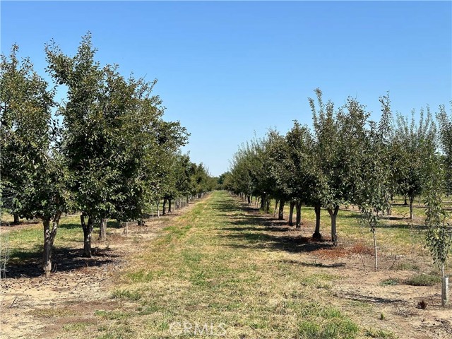 Image 8 of 21 For 25040 63rd Avenue