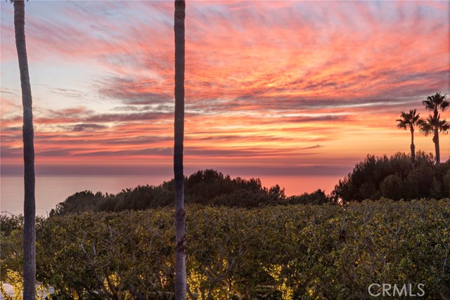 Detail Gallery Image 56 of 73 For 84 Sidney Bay Dr, Newport Coast,  CA 92657 - 3 Beds | 3/1 Baths