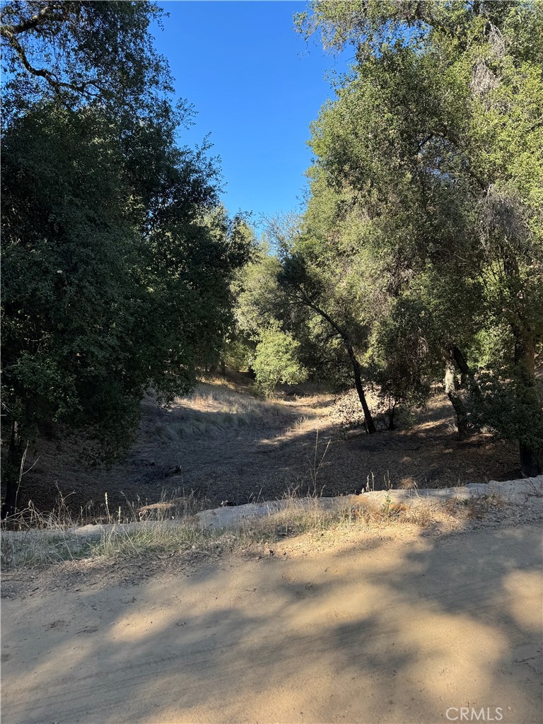 MLS #OC25262578 image #25