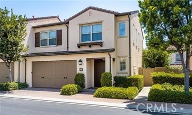 36 Lacebark