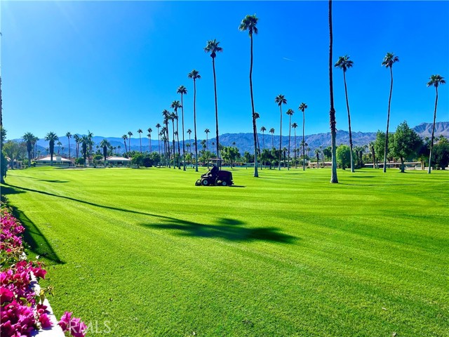 46125 Burroweed Ln., Palm Desert CA: https://media.crmls.org/medias/d287a15c-3df5-478f-8a06-9bcb63c8681f.jpg