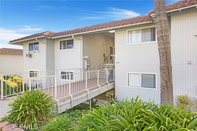 Front Image Thumbnail for CROC25264105