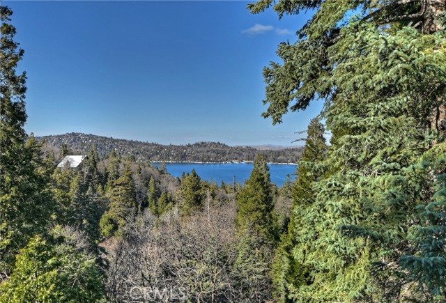Detail Gallery Image 1 of 1 For 566 Sunderland Ct, Lake Arrowhead,  CA 92352 - 2 Beds | 1/1 Baths