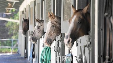 Horace Stable