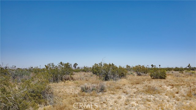 Detail Gallery Image 4 of 14 For 0 Vicinity Ave U-2 & 257th E, Llano,  CA 93544 - – Beds | – Baths