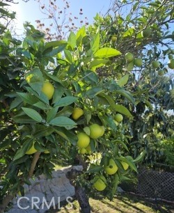 Detail Gallery Image 31 of 35 For 3320 Reynolds, Montecito Heights,  CA 90032 - 3 Beds | 2 Baths