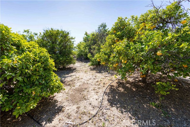 42765 India Place, Temecula, CA, 92592 42765 India Place, Temecula, CA, 92592
