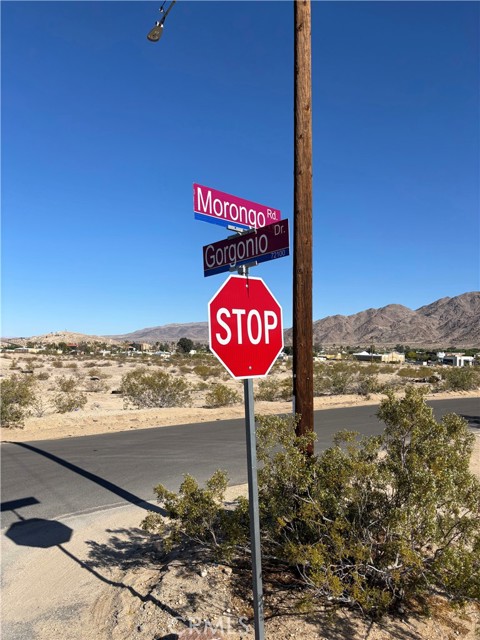 Detail Gallery Image 4 of 19 For 1 Morongo Rd, Twentynine Palms,  CA 92277 - – Beds | – Baths