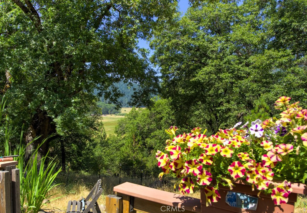 10230 Salmina Road Kelseyville CA 95451
