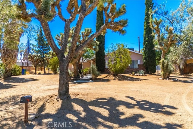 Detail Gallery Image 4 of 63 For 56469 Carlyle Dr, Yucca Valley,  CA 92284 - 2 Beds | 1 Baths