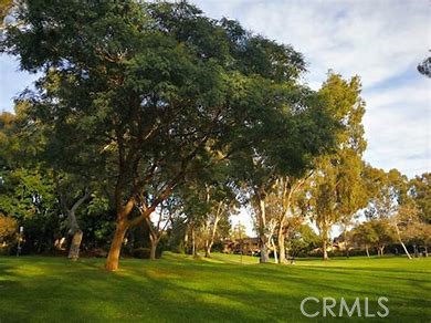 MLS #ND25250563 image #7