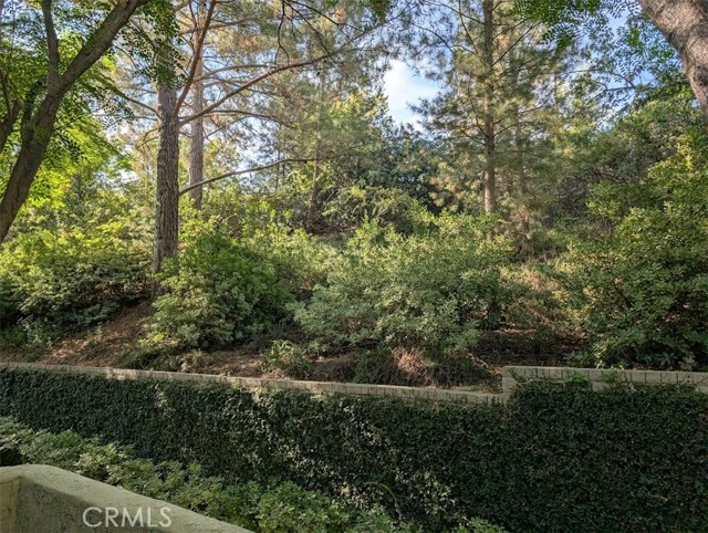 24153 Del Monte Drive, Valencia CA: https://media.crmls.org/medias/d2a9d649-4684-4597-8ae9-9ffa45496704.jpg
