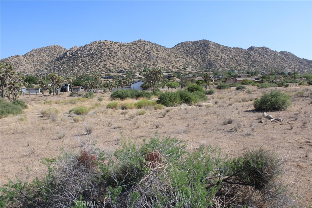 MLS #CV25150711 image #7