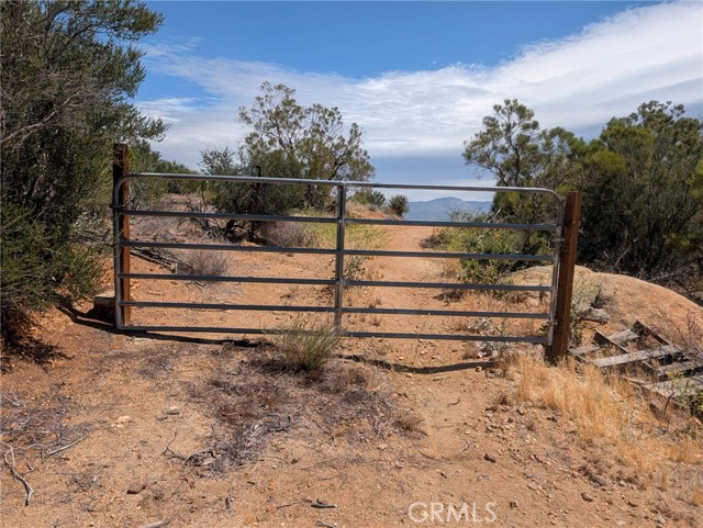 Front Image Thumbnail for CRSW26090671
