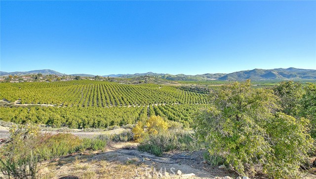 Detail Gallery Image 75 of 75 For 44420 Mayberry Ave, Hemet,  CA 92544 - 2 Beds | 3 Baths