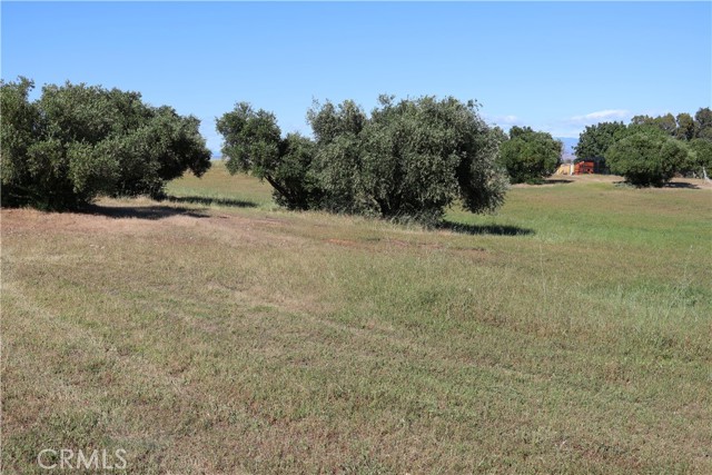 Detail Gallery Image 17 of 32 For 0 Carona Ave., Corning,  CA 96021 - – Beds | – Baths