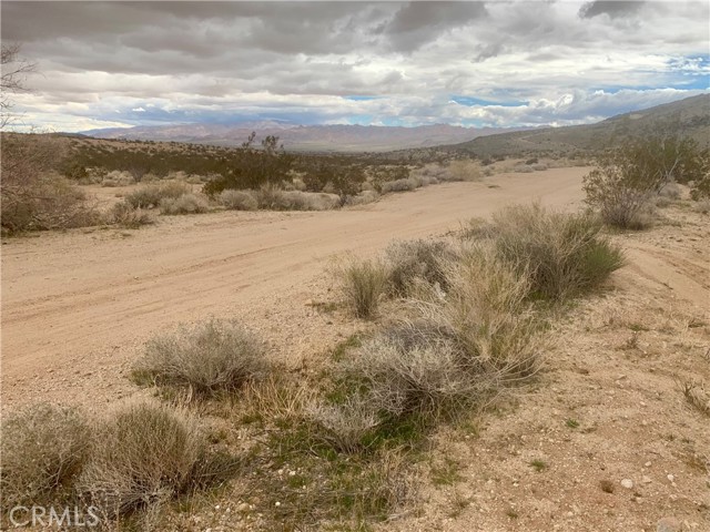 60926 Campanula Street, Joshua Tree, California 92252, ,Land,For Sale,60926 Campanula Street,CRJT24039033