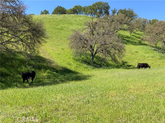 Detail Gallery Image 4 of 66 For 77599 Lowes Canyon Rd, San Miguel,  CA 93451 - – Beds | – Baths