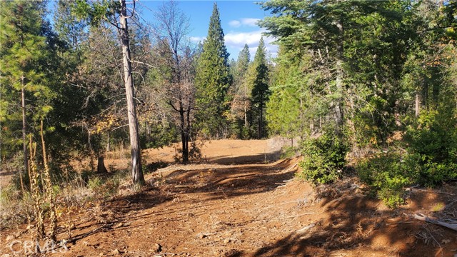 1 Coutolenc Road, Magalia, California 95954, ,Land,For Sale,1 Coutolenc Road,CRSN23217034