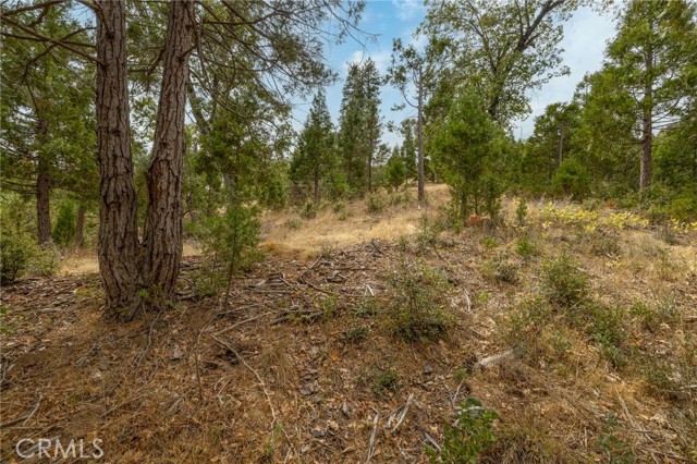 Detail Gallery Image 51 of 55 For 26 Timberview, North Fork,  CA 93643 - – Beds | – Baths